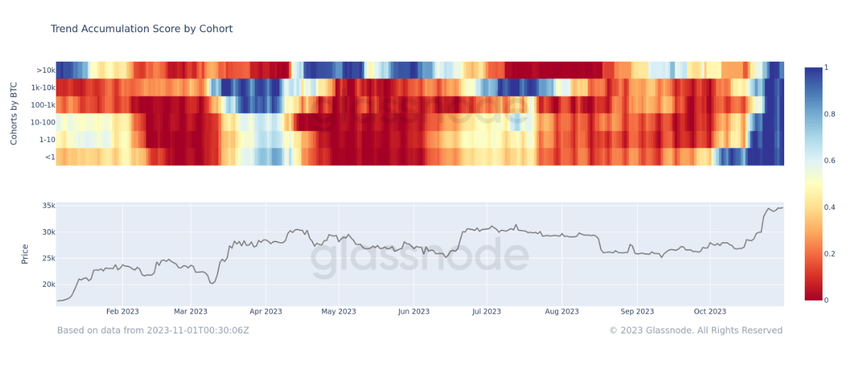 Trend accumulation score by Cohort