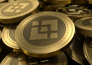 BNB's Upward Trend Persists Despite Analyst's Pessimism