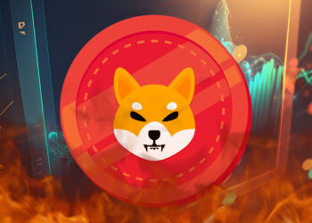 Shiba Inu Lead Dev Suggests 99.9% SHIB Token Supply Burn