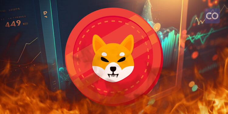 Shiba Inu Lead Dev Suggests 99.9% SHIB Token Supply Burn