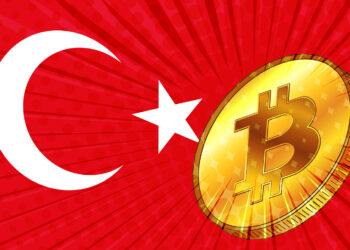 Turkey Appoints Expert to Crypto Policy Committee at Bank