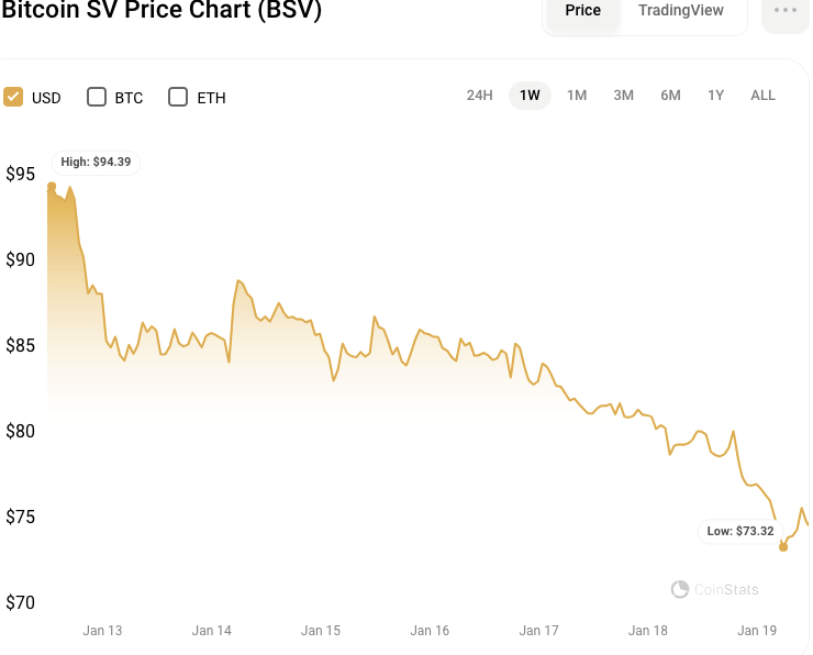 BSV/USD 7-day price chart