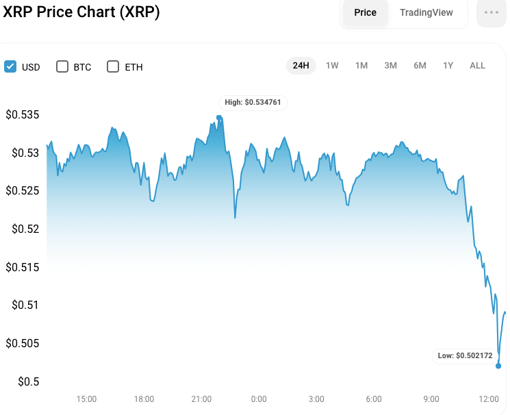 XRP/USD 24-hour price chart