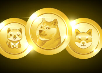 Memecoin Surge: DOGE, BONK, and Others Reach New Highs