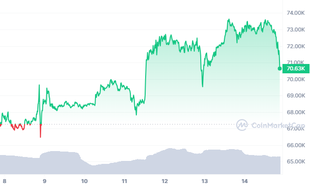 Amid Bull Run, Bitcoin (BTC) Price Undergoes Correction