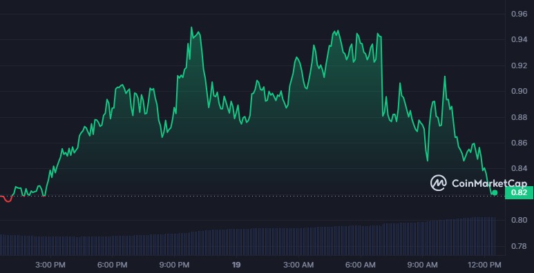 Crypto Market Plunges, Stirring Investor Sentiment