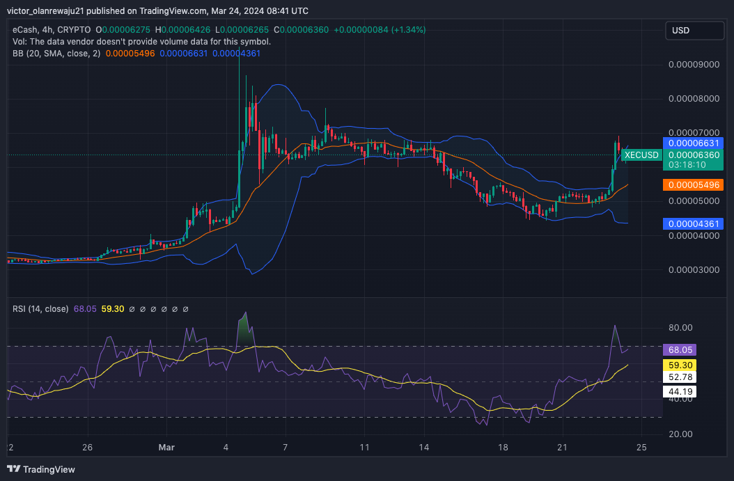 XEC/USD 4-Hour Chart (Source: TradingView)