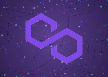 Analyst Predicts MATIC Rebound Despite Market Downturn