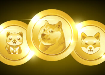 Meme Coin Surge: BONK, SHIB, PEPE, and DOGE Prices Soar