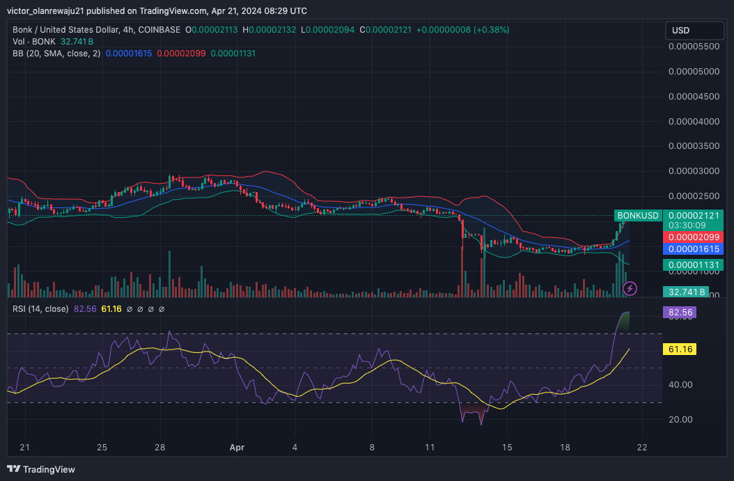 BONK/USD 4-Hour Chart (Source: TradingView)