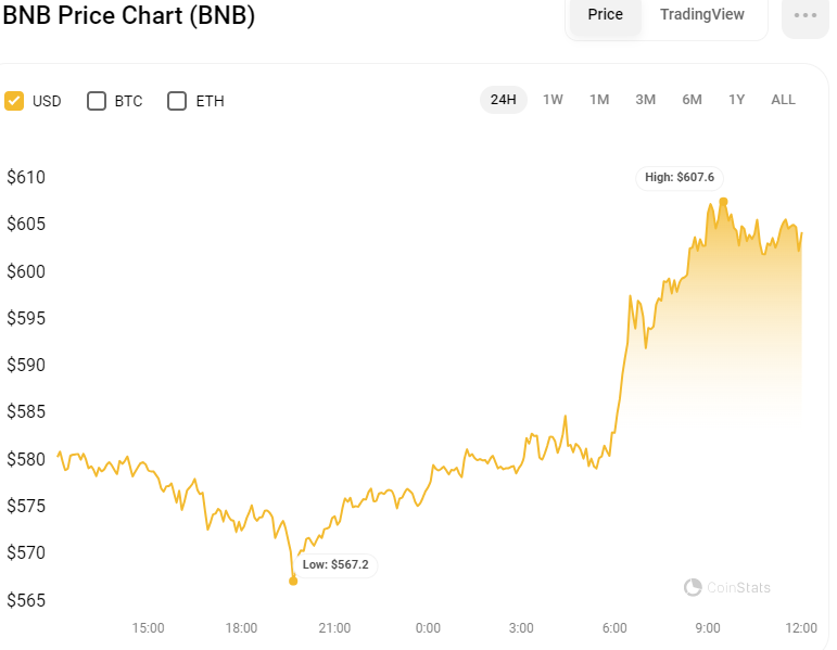 BNB/USD 24-Hour Price Chart