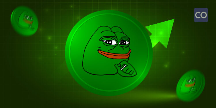 PEPE Coin Soars 30%, Hits Record as Meme Crypto Rallies