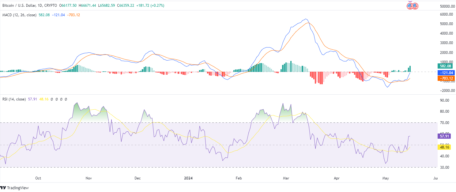 BTC/USD 1-Day Chart