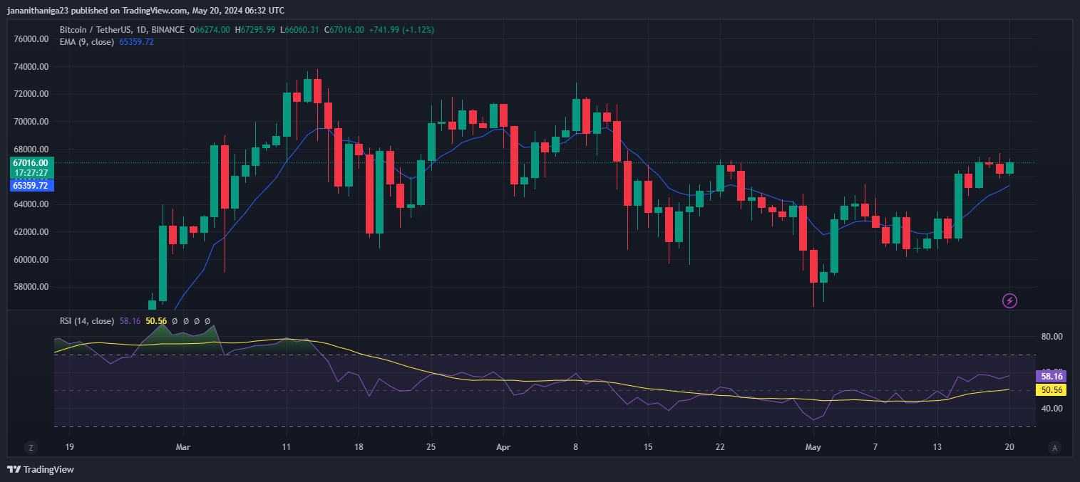 BTC Price Chart