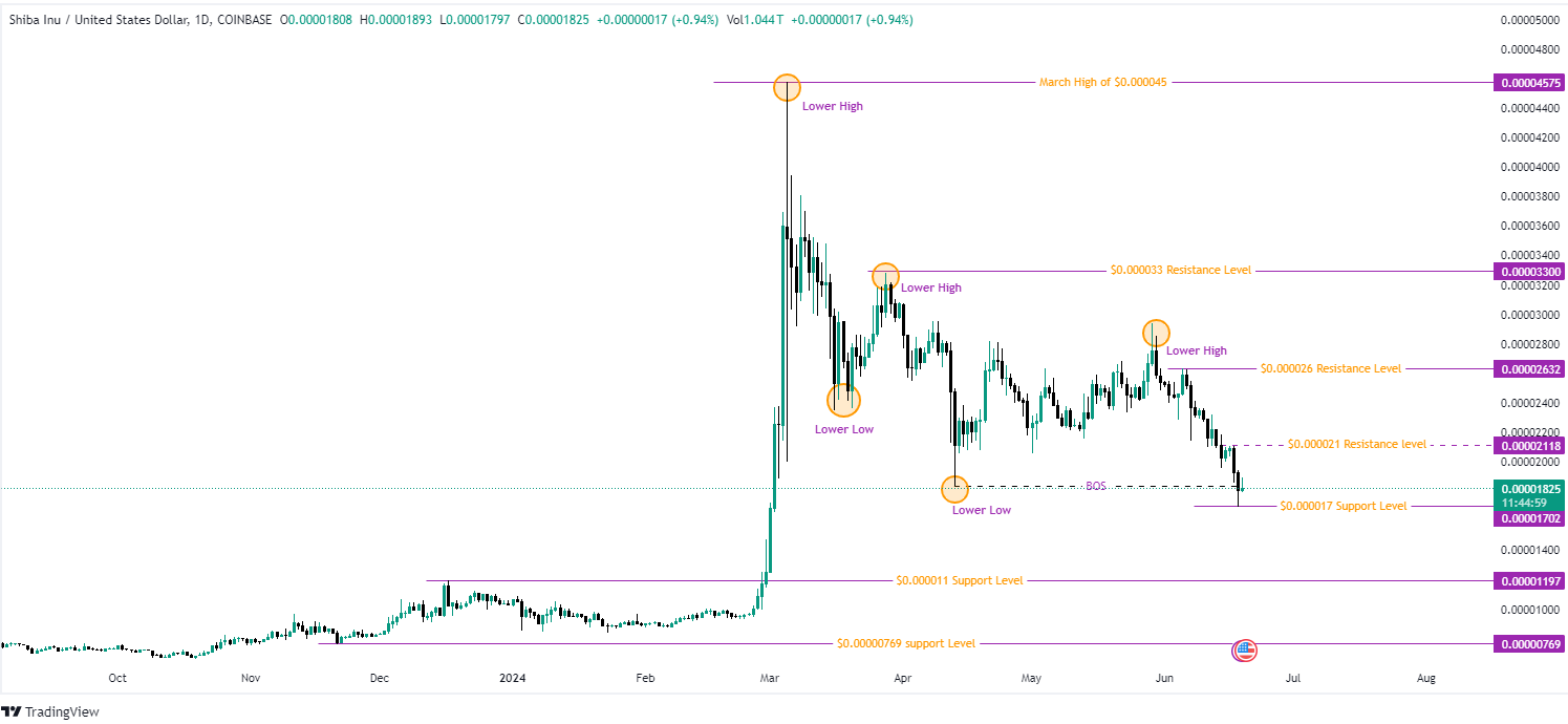 SHIB/USD 1-Day Chart