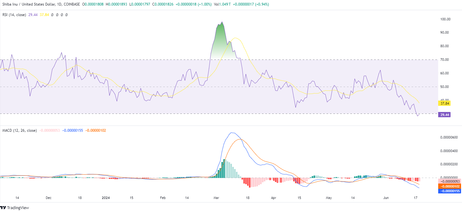 SHIB/USD 1-Day Chart