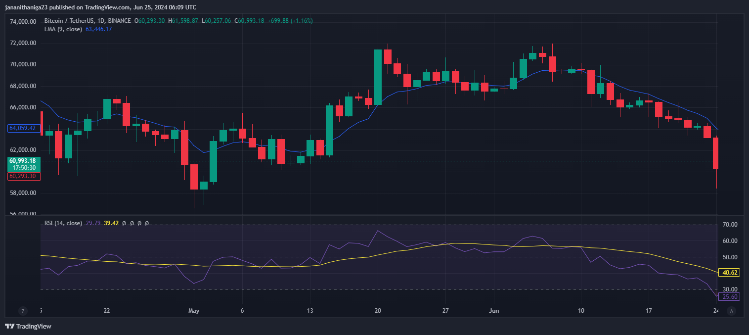 Bitcoin Price Chart